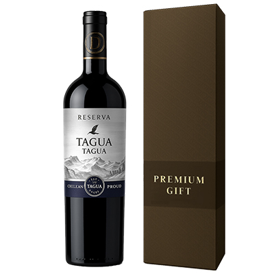 Ư�� ĥ�� ��������