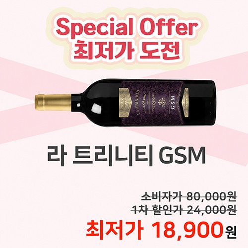 �� Ʈ����Ƽ GSM